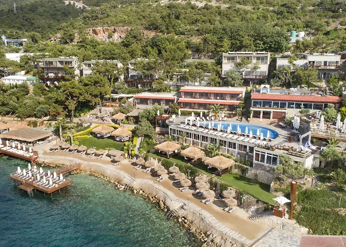 Sarpedor Boutique And Hotell 4*