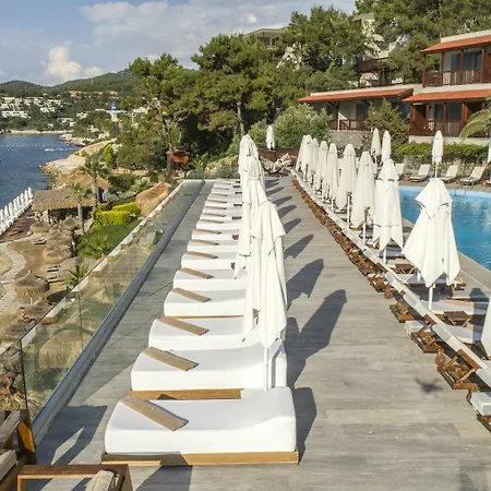 Sarpedor Boutique And 4* Bodrum